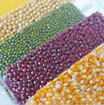 包裝機(jī)械應(yīng)用于農(nóng)副產(chǎn)品的包裝