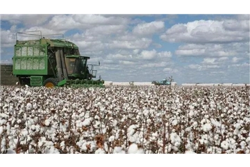 煎熬！國(guó)產(chǎn)棉賣不掉，進(jìn)口棉買不起，國(guó)內(nèi)外棉價(jià)走勢(shì)背離，對(duì)紡織企業(yè)影響幾何？